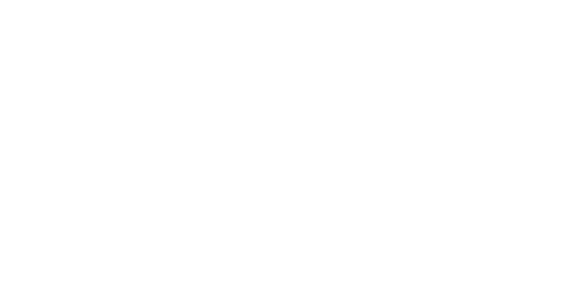 logo Shopify